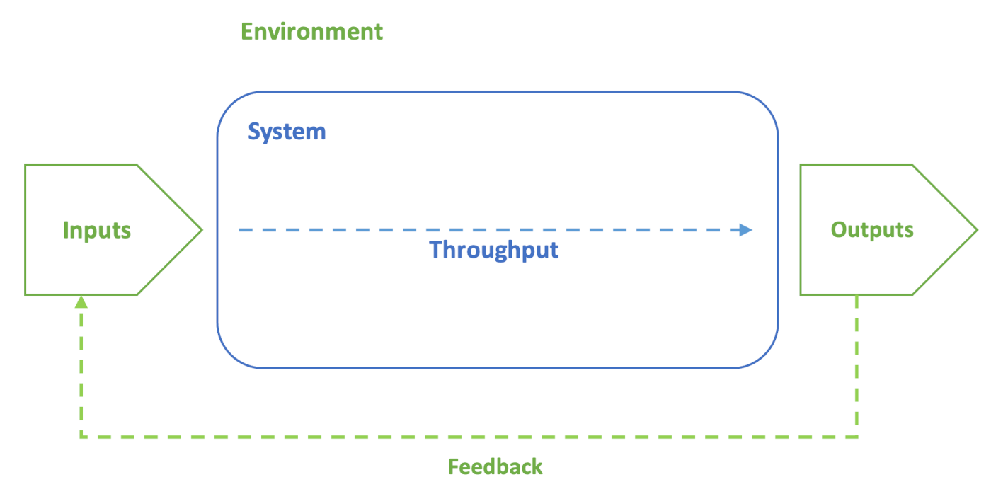 A system and its environment